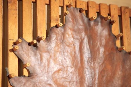 Spoznaj staro obrt – USNJARSTVO v občini Ivančna Gorica2